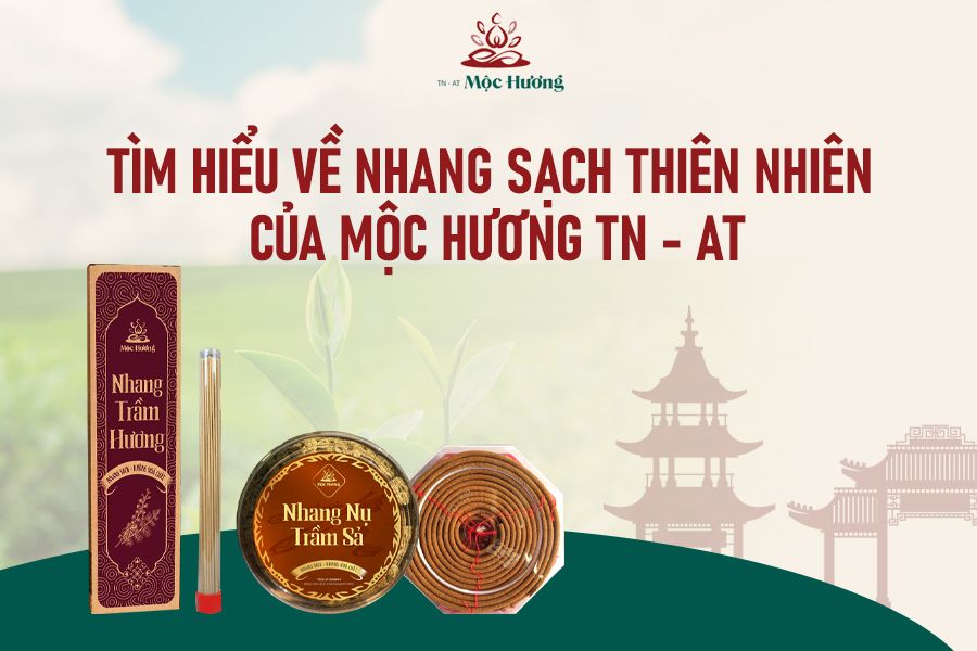 TÌM HIỂU VỀ NHANG SẠCH THIÊN NHIÊN CỦA MỘC HƯƠNG TN - AT